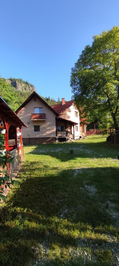 Olt-Part Vendégház BaileTusnad Extérieur photo